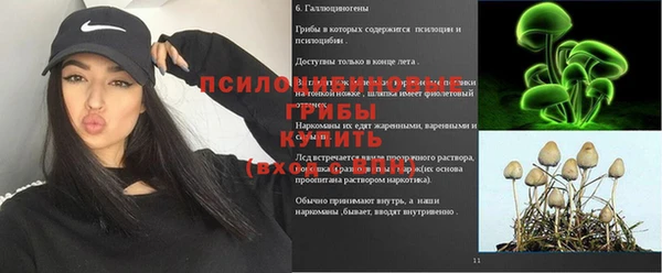 трава Нязепетровск