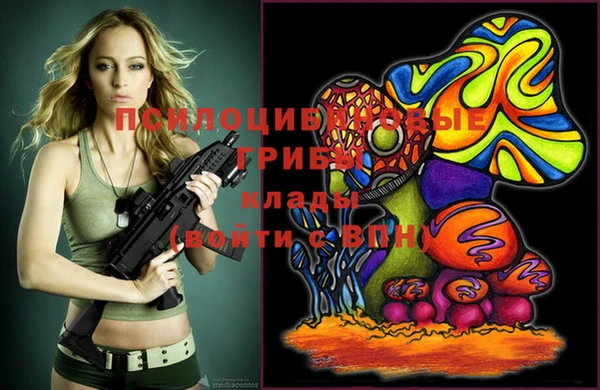 шишки Нягань