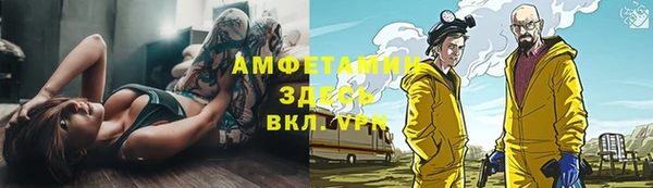 шишки Нягань