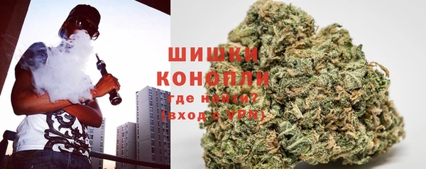 шишки Нягань