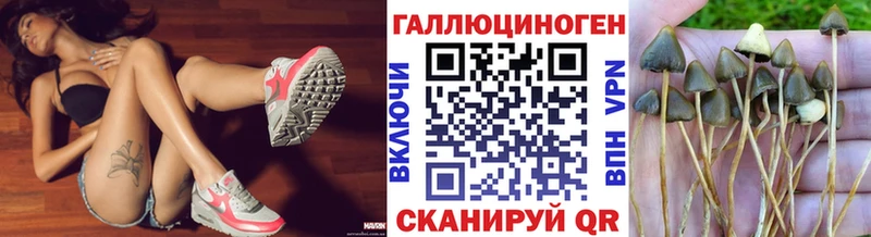 Купить  Краснотурьинск  Галлюциногенные грибы MAGIC MUSHROOMS 